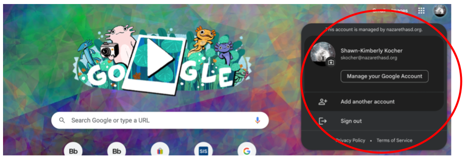 Google Login Information